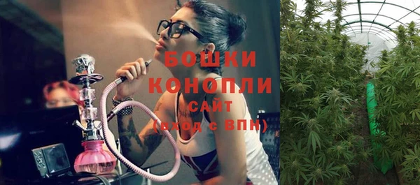 ПСИЛОЦИБИНОВЫЕ ГРИБЫ Козловка