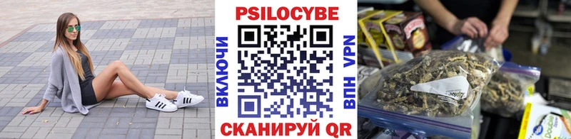 что такое   Нововоронеж  Галлюциногенные грибы Cubensis 